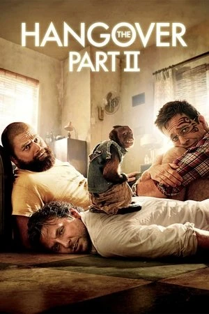 The Hangover Part II 2011 Hindi - English Audio WEB-DL 720p - 480p - 1080p - Movierulz