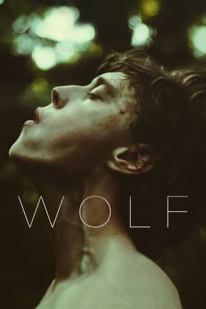 Wolf (2021) Hindi Dual Audio HDRip 720p – 480p - Movierulz